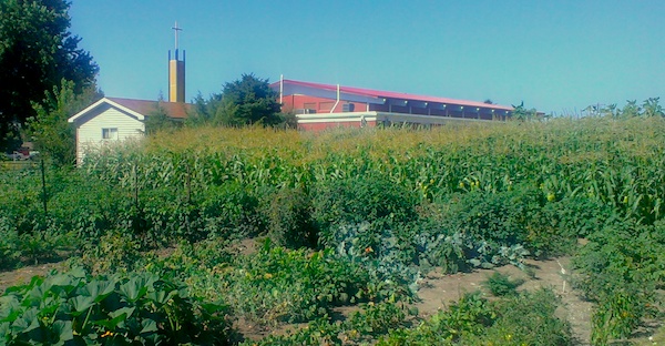 Miller UMC Community Garden