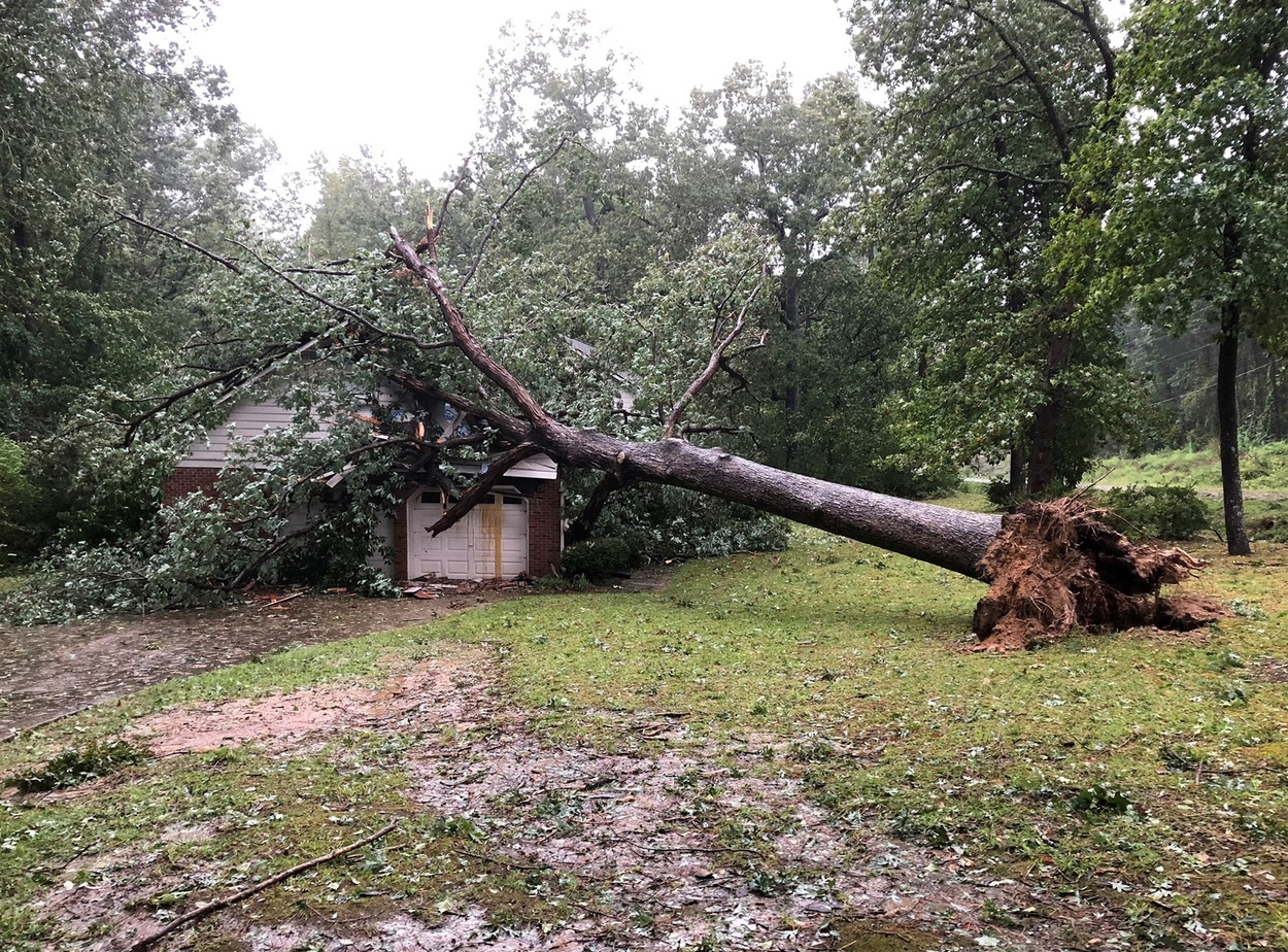 Thomas Greener House Tree Hurricane Florence 2018 Edited Rev