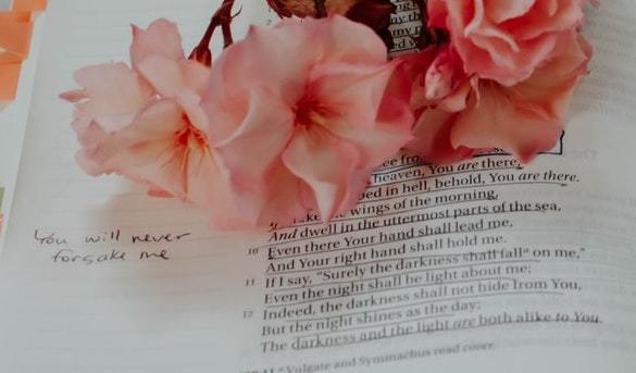 Pink Flower Bible Edited