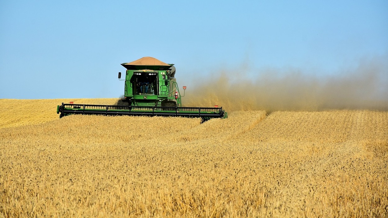 Harvest Craig