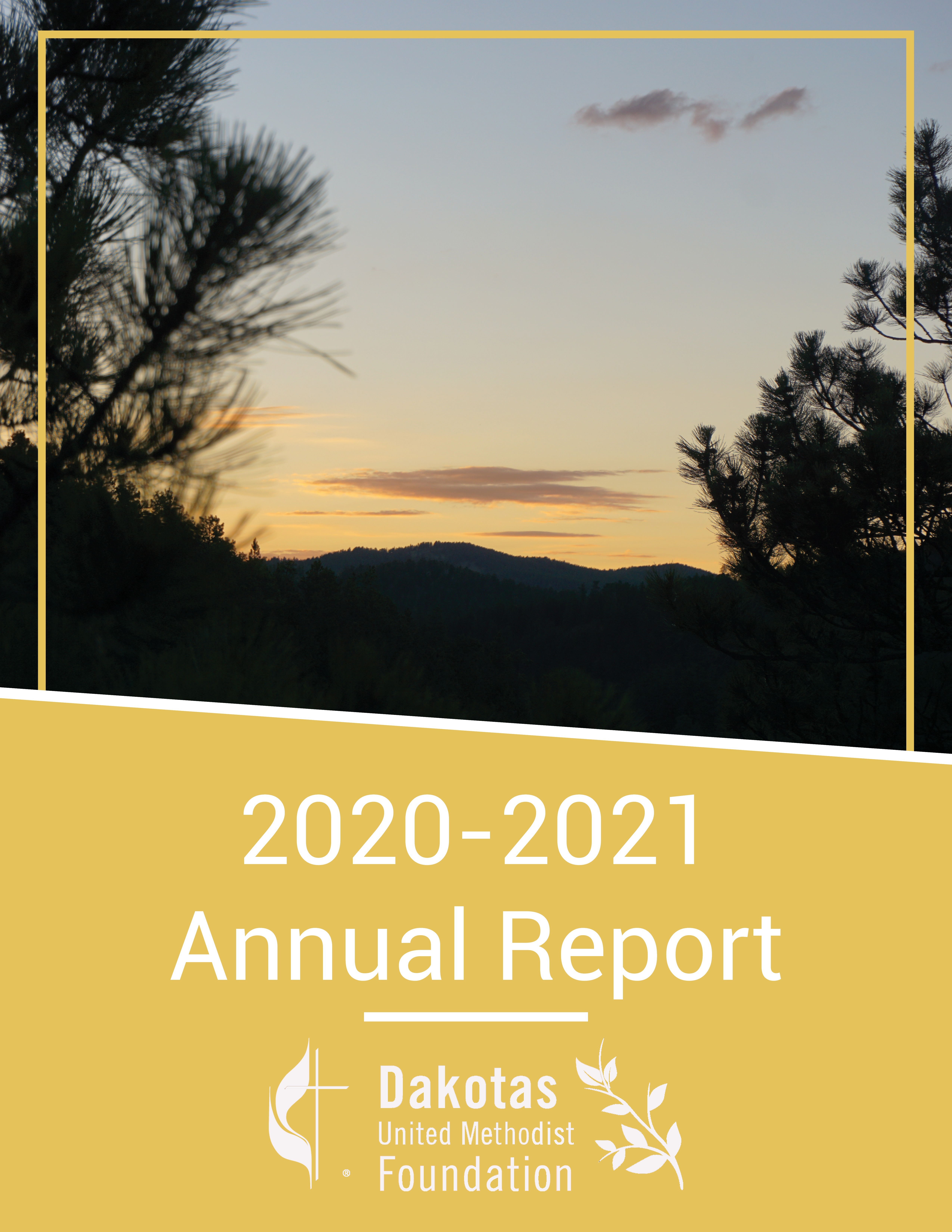 Annual Report 2020 2021 Cover