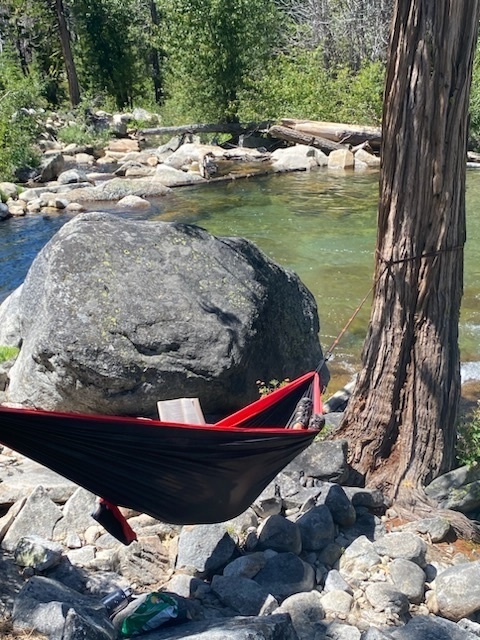 Hammock hanging over creek