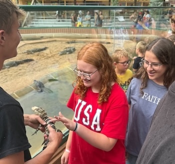 Fluffy Alligator Petting